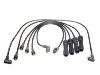 Ignition Wire Set:271484