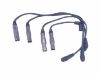 Ignition Wire Set:06A 905 409 A