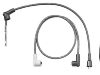 Ignition Wire Set:5892302