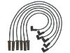 Ignition Wire Set:19171852