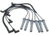 Ignition Wire Set:4797685